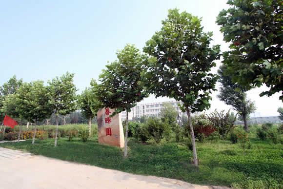 衡水科技工程學(xué)校怎么樣？是國辦院校嗎？就業(yè)有保障嗎？
