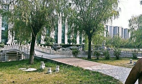 會計專業(yè)課程怎么樣？   