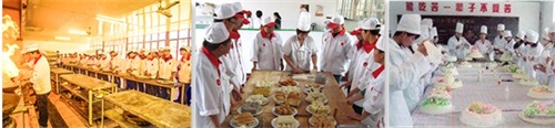 廚師需要學(xué)習(xí)烹飪多少道菜？