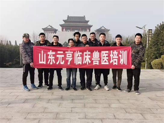 想當(dāng)獸醫(yī)要學(xué)什么？   