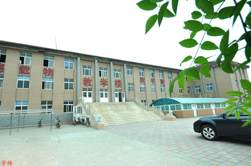 滄州國興職業(yè)技術(shù)學(xué)校開設(shè)了哪些專業(yè)？
