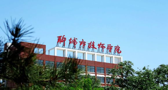 聊城市技師學(xué)院有計(jì)算機(jī)專業(yè)嗎？