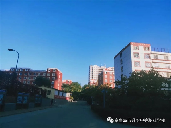 秦皇島市升華中等職業(yè)學(xué)校有電子商務(wù)專業(yè)嗎？
