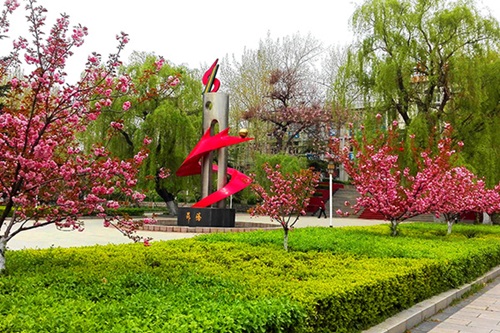 選擇齊魯技術(shù)學(xué)院學(xué)幼師怎么樣？