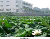 鄭州澍青醫(yī)學(xué)高等?？茖W(xué)校